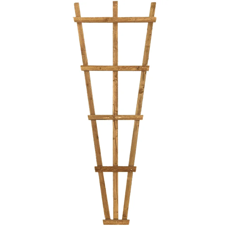 Fan Trellis